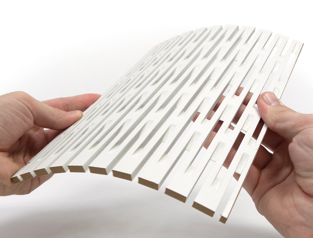 EchoFlex WaveSense back